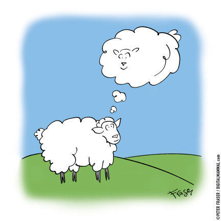 WR-139-Sheep-Dreaming-Sheep_23